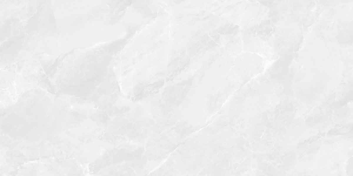 Regnum Bianco 2