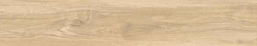 Epiq Miele 10