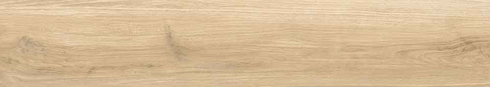 Epiq Miele 11