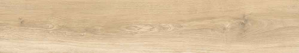 Epiq Miele 4