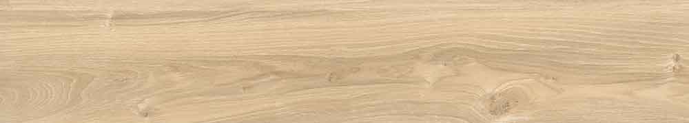 Epiq Miele 5