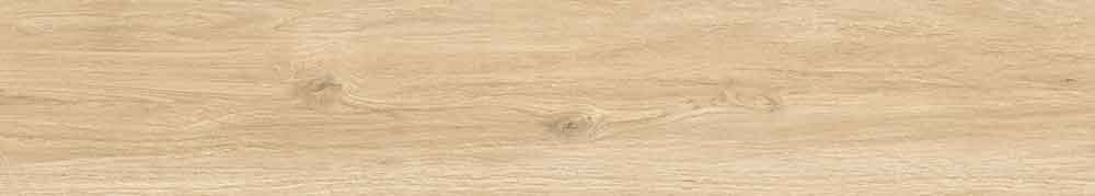 Epiq Miele 8