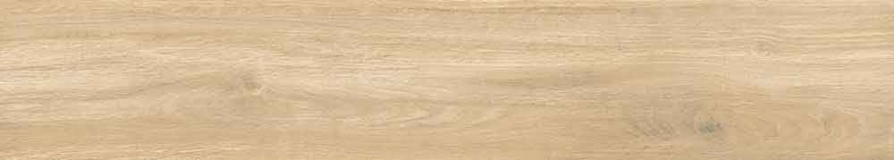 Epiq Miele 9