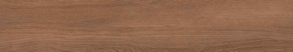 Canarium Brown 10