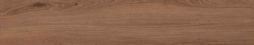 Canarium Brown 11