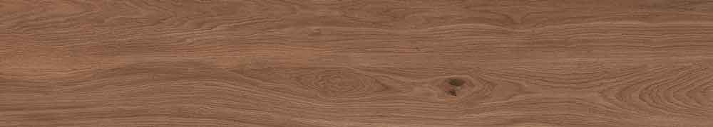 Canarium Brown 12