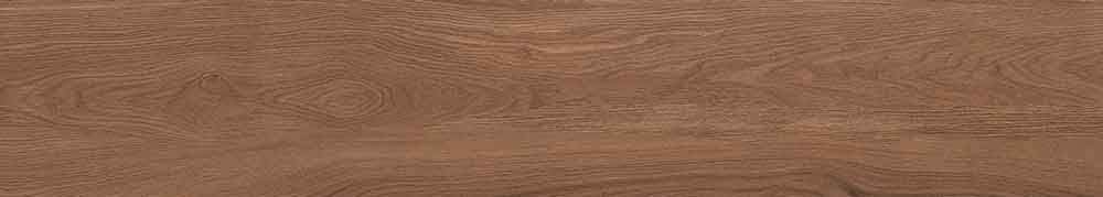 Canarium Brown 13