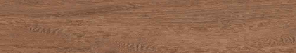 Canarium Brown 14