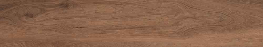 Canarium Brown