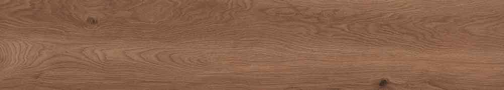Canarium Brown 2
