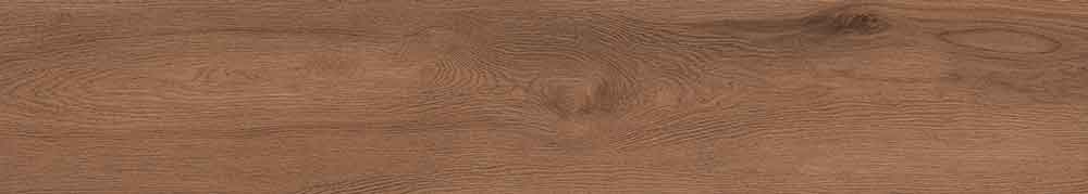 Canarium Brown 3