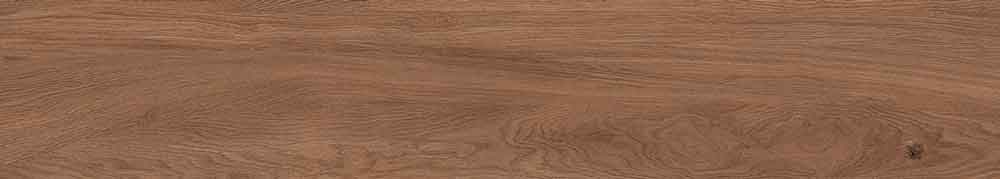 Canarium Brown 4