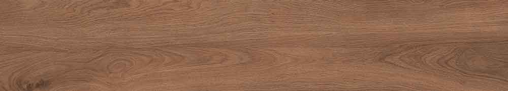Canarium Brown 5