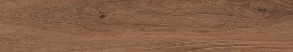 Canarium Brown 6