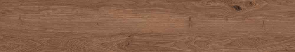 Canarium Brown 7