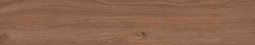 Canarium Brown 8
