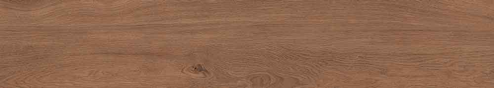 Canarium Brown 9