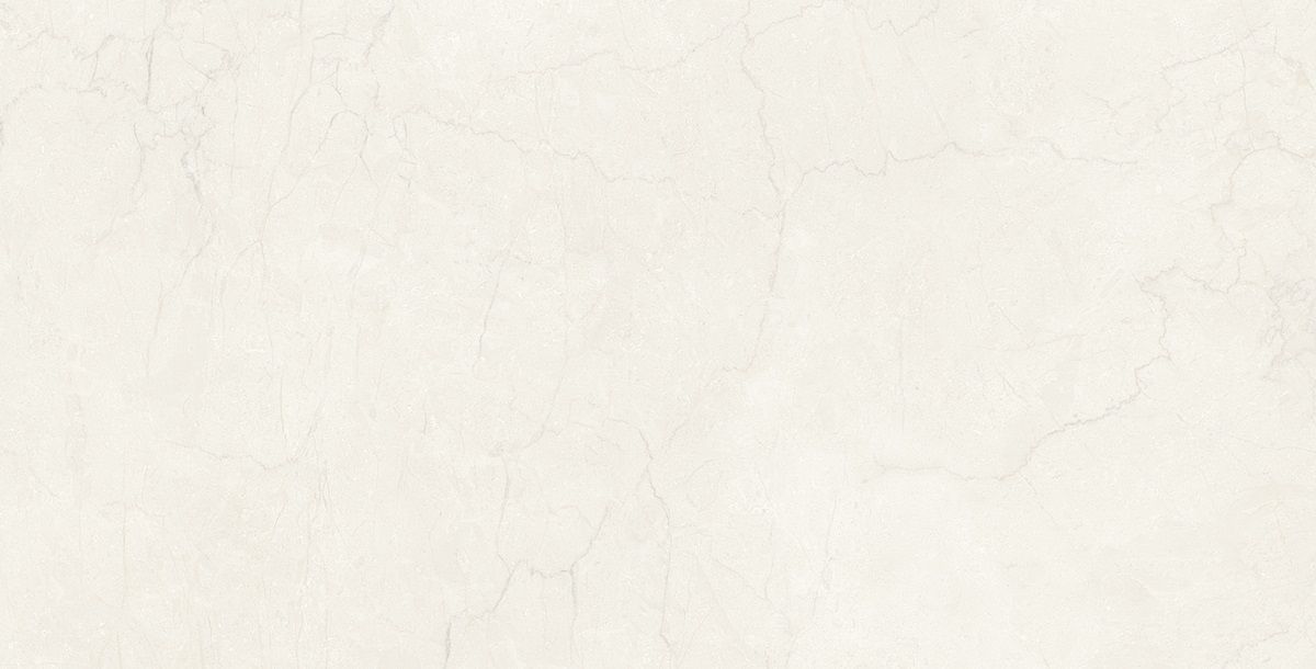 Petra custard 11