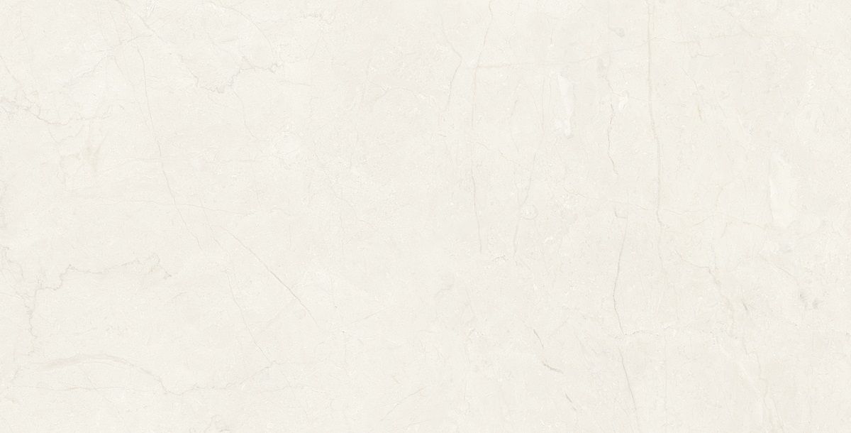 Petra custard 6