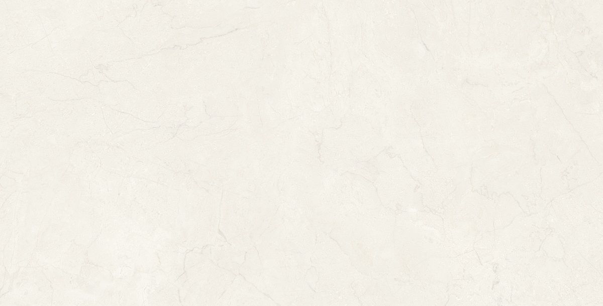 Petra custard 8