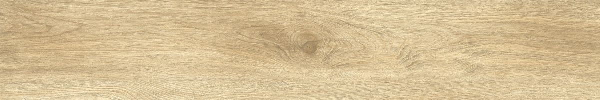 Ajanta oak 2