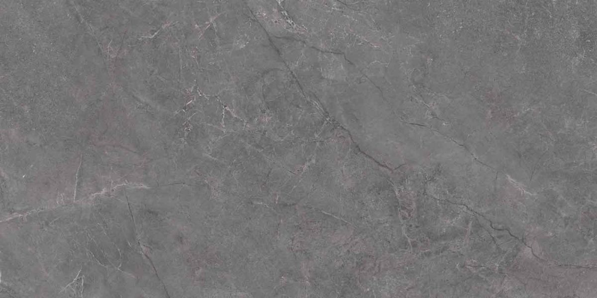 Pluto Grigio 4