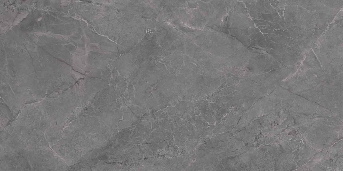 Pluto Grigio 6