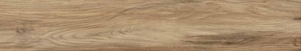 Argos golden pine 10