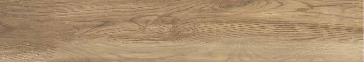 Argos golden pine 12