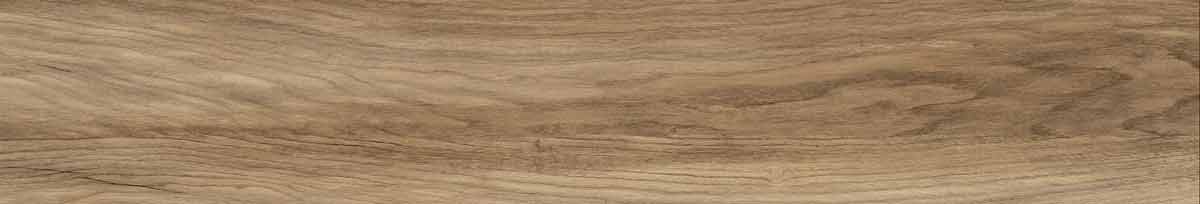 Argos golden pine 3