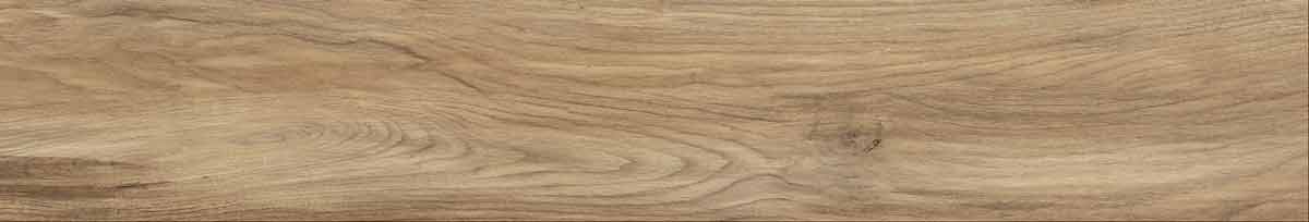 Argos golden pine 4