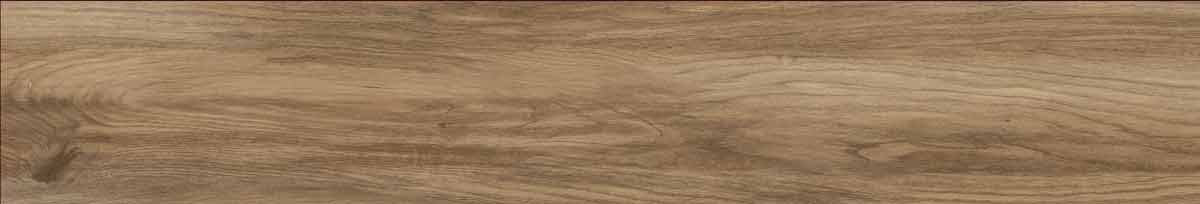 Argos golden pine 5