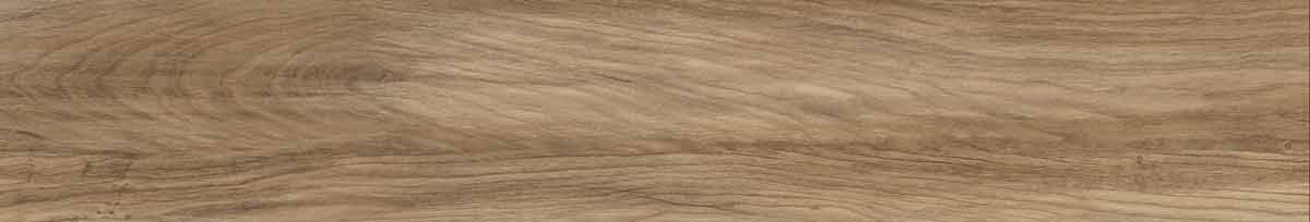 Argos golden pine 6