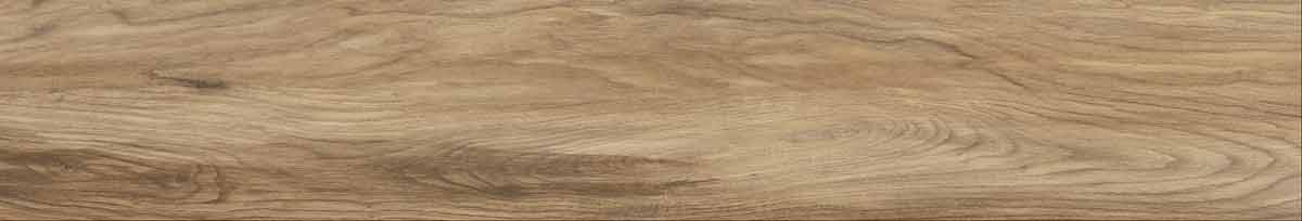 Argos golden pine 7