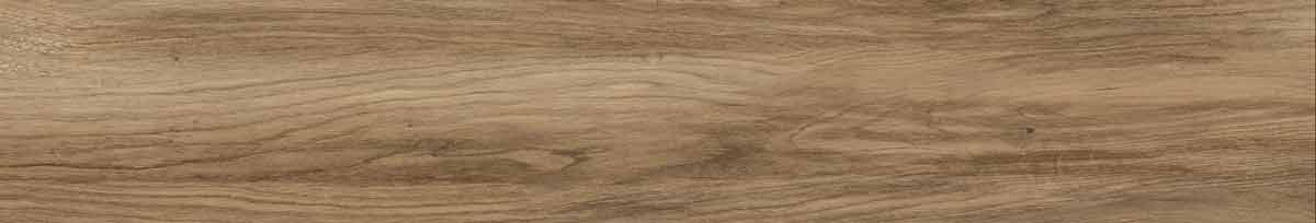 Argos golden pine 8