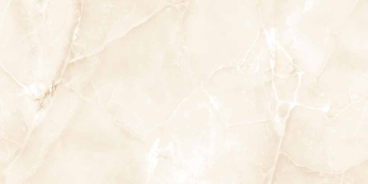 Onyx Snow Beige 5