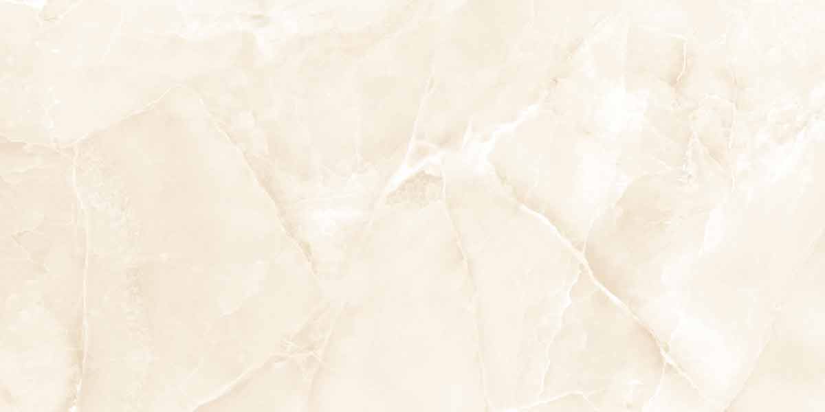 Onyx Snow Beige 6
